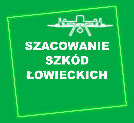 szacowanie szkód